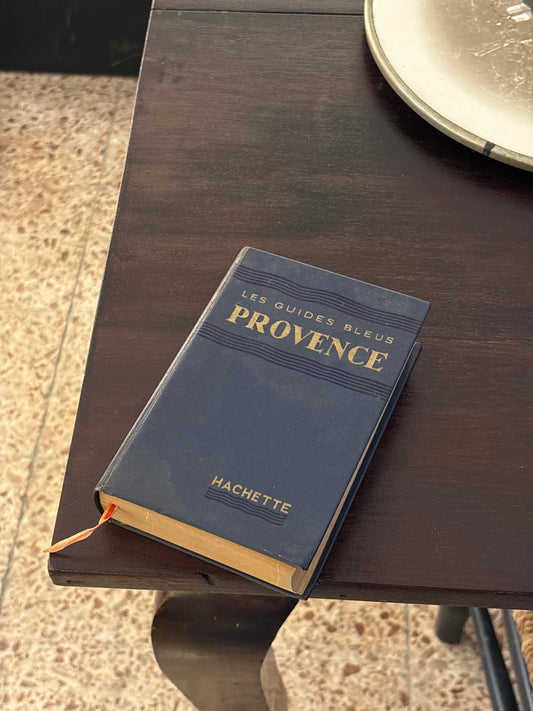 Les guides bleus Provence