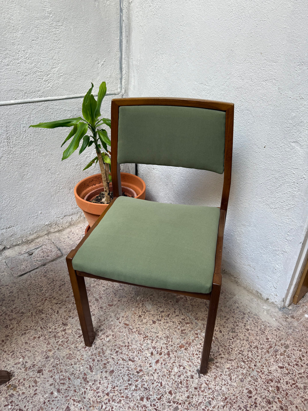 Cadira Sandra